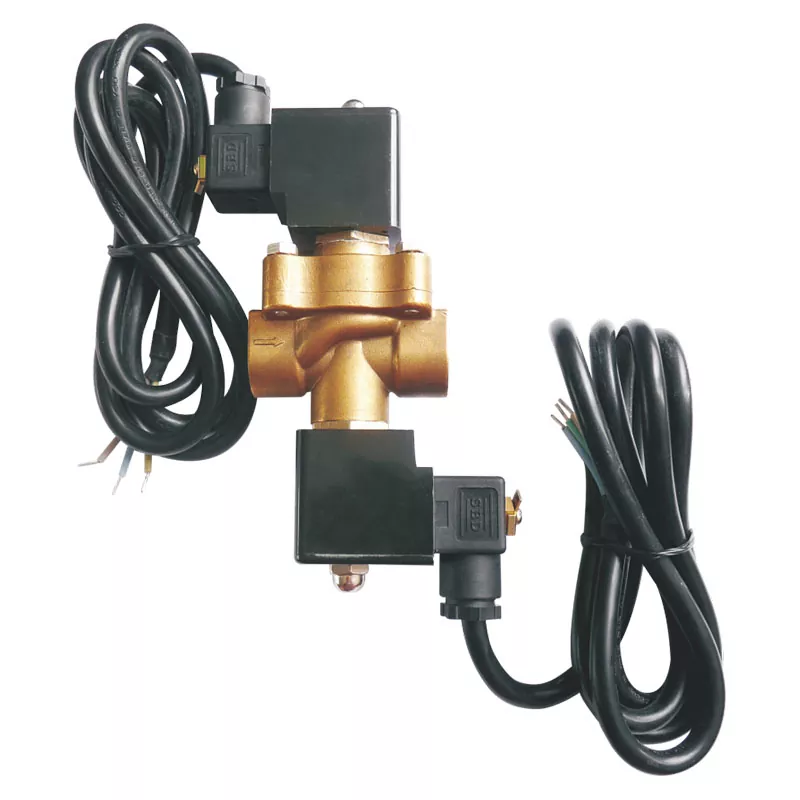 Çift akışlı LPG dispenser solenoid valf