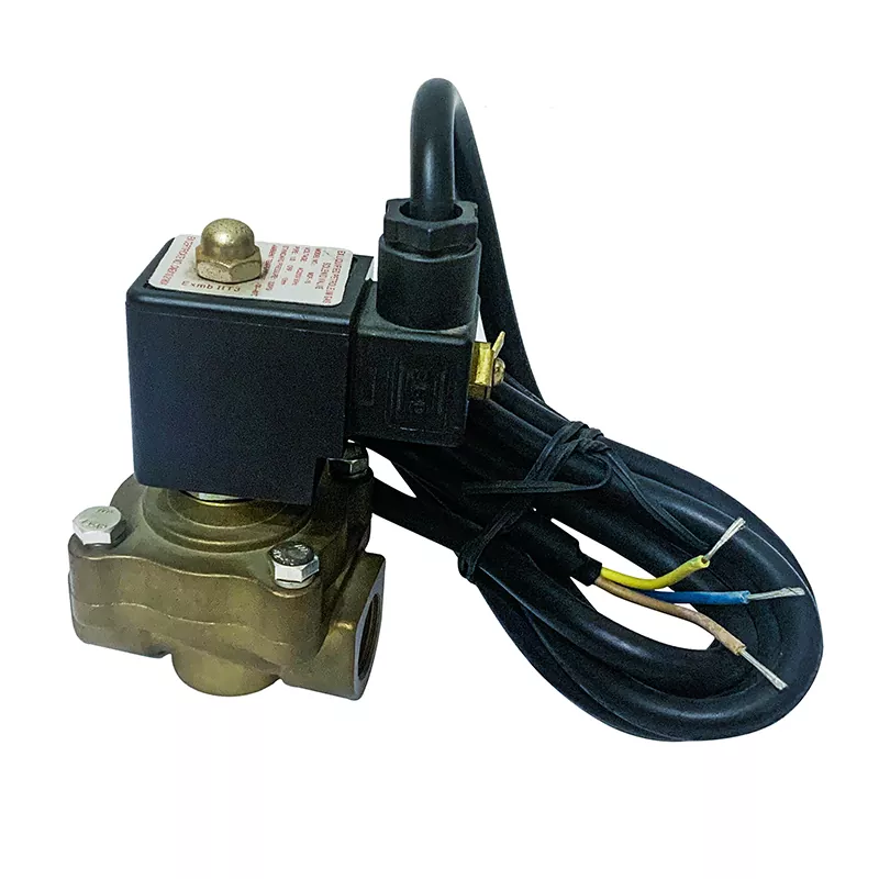 Tek akışlı LPG dispenser solenoid valf